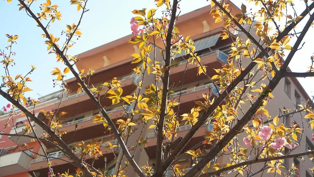 Bed & Breakfast B&B La Perla Di Roma